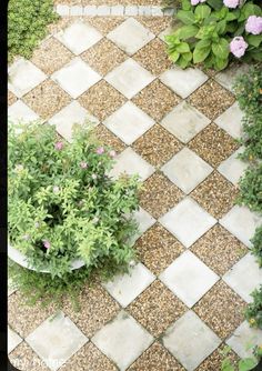 an aerial view of a garden with flowers and plants