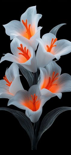 three white flowers with orange stamens against a black background