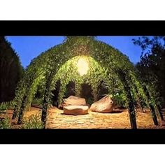 an arch covered in green plants and rocks