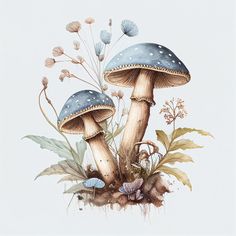 two mushrooms are sitting on the ground surrounded by plants and seashells in this watercolor painting