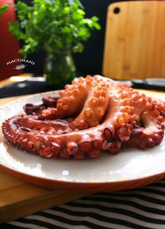 two sausages on a white plate sitting on a table next to a potted plant