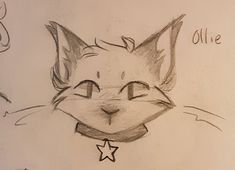 a drawing of a cat's face with the words ollie above it and stars