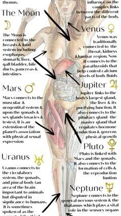 Birth Chart Astrology