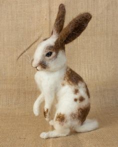 a brown and white rabbit sitting on top of a beige cloth