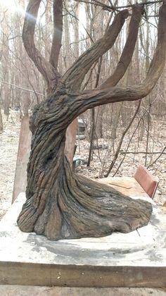 a tree that is sitting in the middle of some dirt and wood with a bench underneath it