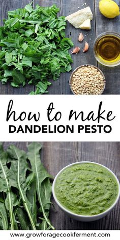 how to make dandelion pesto