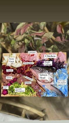 an assortment of different types of fish on display in front of a table with flowers