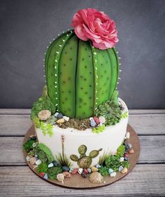 a cake with a cactus and flower on top