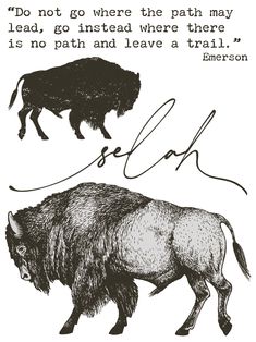 a drawing of a bison and a buffalo with the words,'do not go where the pen may lead, go instead where there is no path to leave a trail