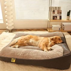 a dog is laying on his bed in the living room