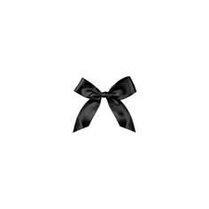 a black bow on a white background