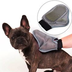 a small dog wearing a mesh glove on it's back with its paw in the air