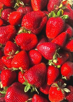 a pile of red strawberries sitting on top of each other