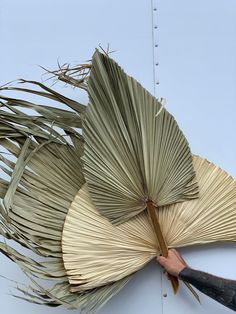 a person is holding an umbrella made out of palm leaves