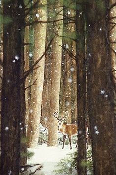 a deer standing in the middle of a snow covered forest with lots of tall trees