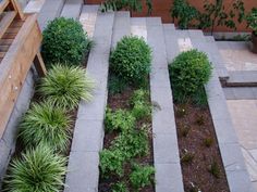 an outdoor garden with steps leading up to the top floor and plants growing in the middle