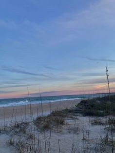 an empty beach at sunset with sea oats in the foreground and blue sky above