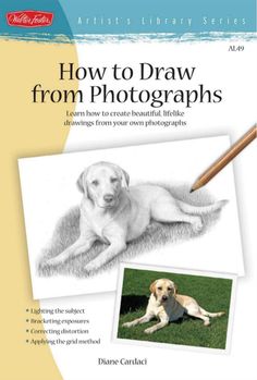 a book with an image of a dog laying on the ground and a pencil in its mouth