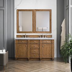 a bathroom with two sinks, mirrors and a potted plant on the floor in front of it