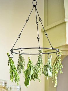 herbs hanging from a pot rack in a kitchen