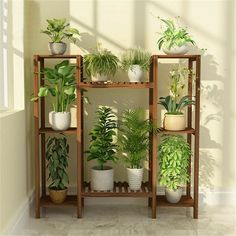 a shelf filled with potted plants next to a wall