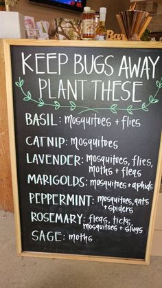 Plants That Repel Bugs, Garden Yard Ideas, Veggie Garden, Lawn And Garden, The Plant, Garden And Yard