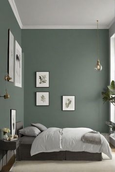 home decor interior, designer wall paint, interior bedroom design, kitchen designs Pewter Green Paint Color, Sw Dovetail Bedroom, Sw Pewter Green Bedroom, Green Bedroom Sherwin Williams, Pewter Green Sherwin Williams Bedroom, Sw Stardew Paint, Trending Bedroom Paint Colors 2024, Pewter Green Bedroom, Green Color Palette Bedroom