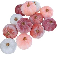 small pink and white pumpkins on a white background