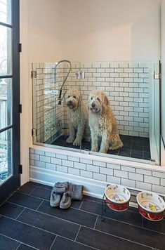 two dogs sitting in the reflection of a bathroom mirror with tiled walls and flooring