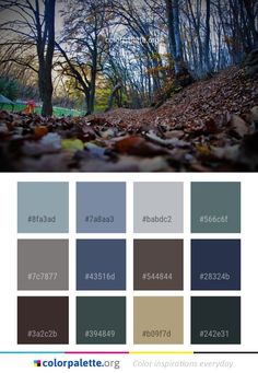 the color palette is for autumn