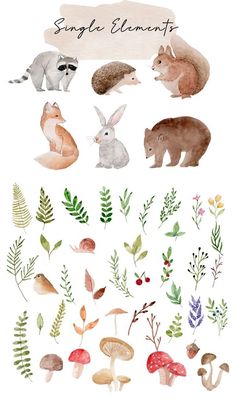 watercolor animals and plants are featured in this illustration