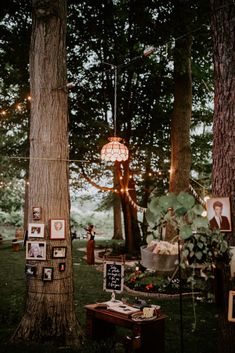 an outdoor area with pictures and lights hanging from the trees