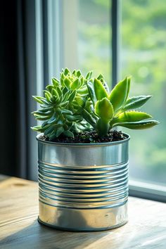 a potted plant sitting on top of a wooden table next to a large window