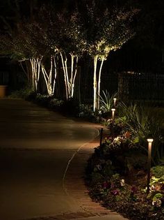 an outdoor path lit up at night with trees and shrubs in the background, along with lights on either side