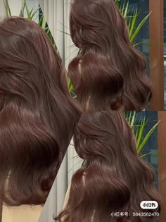 小红书 hair color ideas to try -- 小红书 ID: 5643582470 Dark Pink Brown Hair, Hair Color For Wavy Hair, Kpop Brown Hair, Pink Brown Hair Color, Pretty Hair Colours, Rose Brown Hair Color, Brown Dyed Hair, Brown Pink Hair