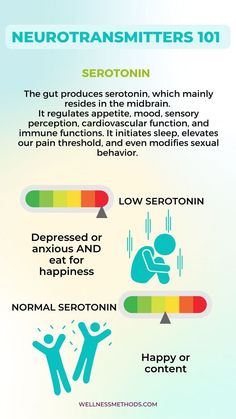 High Dopamine Levels, Beat Cravings, Happiness Hormones, Love Quizzes, Work Wellness, Brain Nervous System, Anatomy Physiology, Newborn Feeding, Brain Chemistry