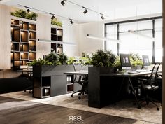 an office with plants on the desk and shelves