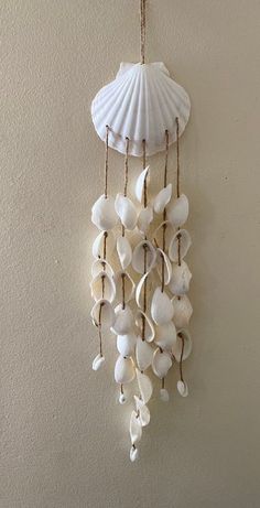 a white shell hanging from the side of a wall next to a light fixture with shells on it