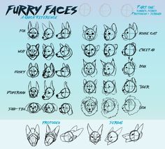 an image of how to draw furry faces