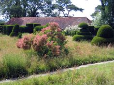 the house is surrounded by lush green bushes and shrubs, with pink flowers in the foreground