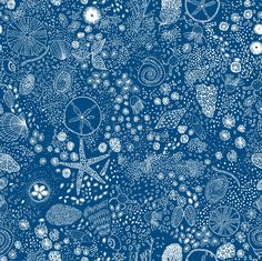 a blue and white wallpaper with shells, starfishs and seashells