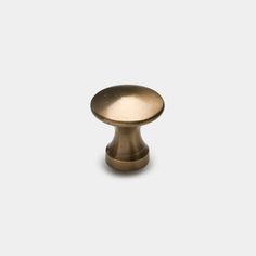 an antique brass cabinet knob on a white background