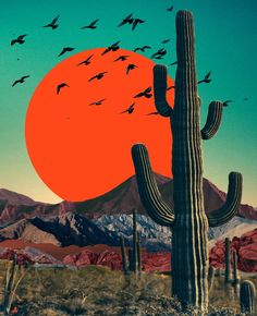 a cactus with birds flying in front of a large orange sun over the mountain range