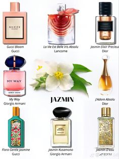 My Way Giorgio Armani, Perfume Ideas, Aesthetic Perfume, Perfume Hacks, Collection Perfume, Perfume Aesthetic, Jasmine Perfume, Fragrance Lab, Gucci Bloom