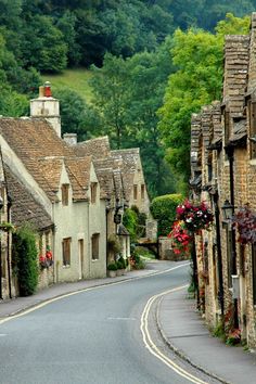 an empty street lined with stone buildings and flowers on either side of the road is surrounded by greenery