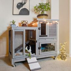 a cat is sitting in its cage on the floor next to a christmas tree and potted plant