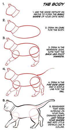 how to draw a cartoon cat step by step drawing instructions for kids and beginners