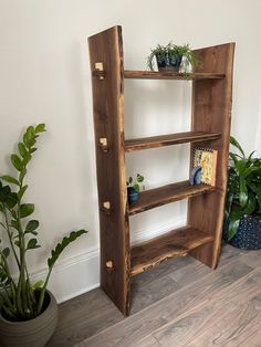 a wooden shelf with plants on it next to a potted plant in the corner