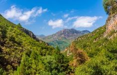 the mountains are covered with trees and bushes