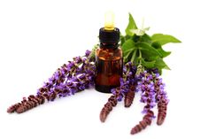 Best Essential Oils For Gum Infection, Sore And Swollen Gums Essential Oil Benefits Essential Ouls, Benefits Of Sage, Essential Oil Menstrual Cramps, Sage Benefits, Sage Tea, List Of Essential Oils, Digestive Juice, Sage Essential Oil